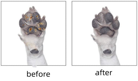 Pet Intelligent Fully Automatic Claw and Foot Washing Cup