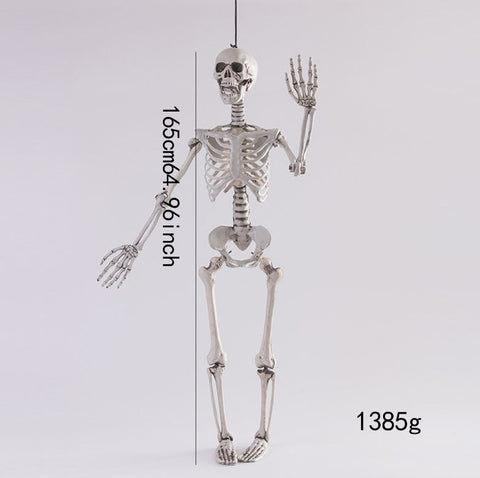 Halloween simulation skeleton human skeleton model skeleton props