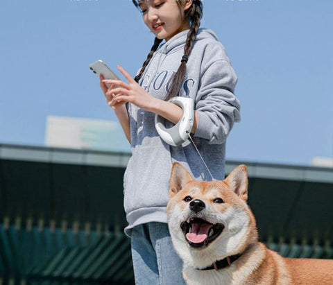 Circular LED light automatic retractable luminous dog leash