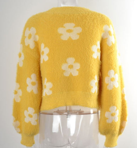 Internet celebrity trendy short knitted sweater