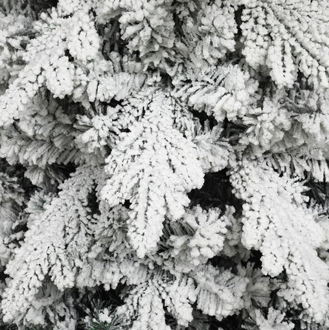 Green Christmas tree