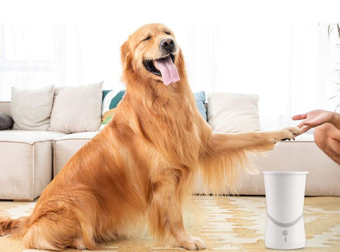 Pet Intelligent Fully Automatic Claw and Foot Washing Cup