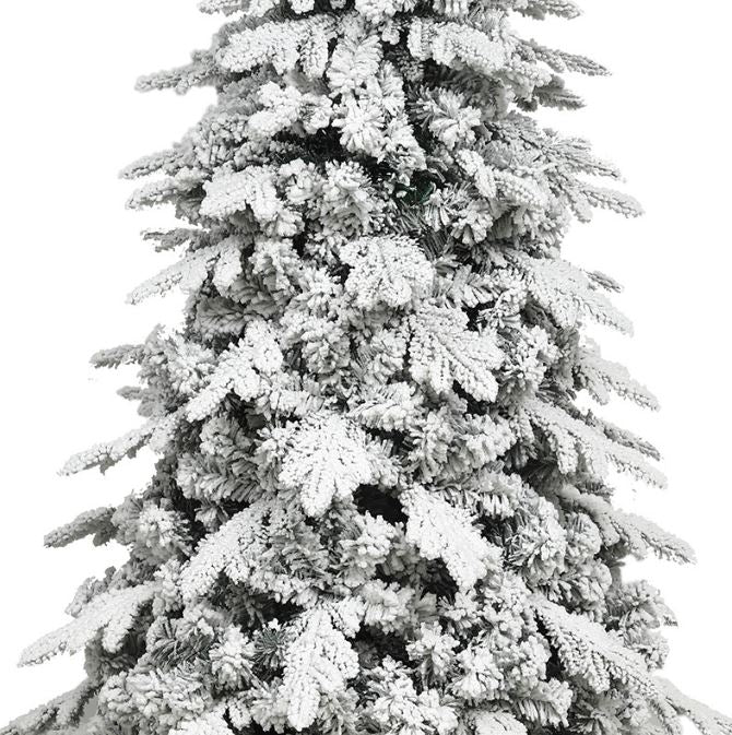 Green Christmas tree