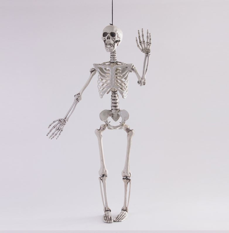 Halloween simulation skeleton human skeleton model skeleton props