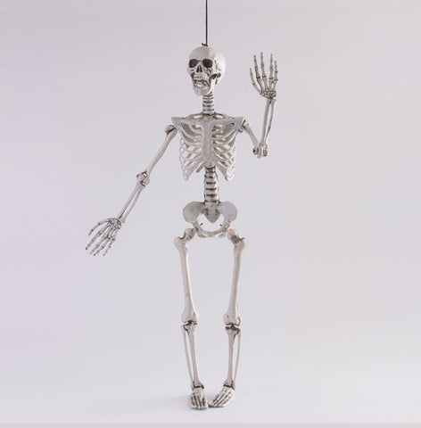 Halloween simulation skeleton human skeleton model skeleton props