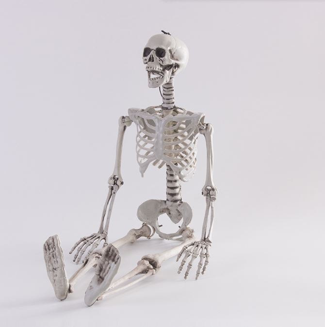 Halloween simulation skeleton human skeleton model skeleton props