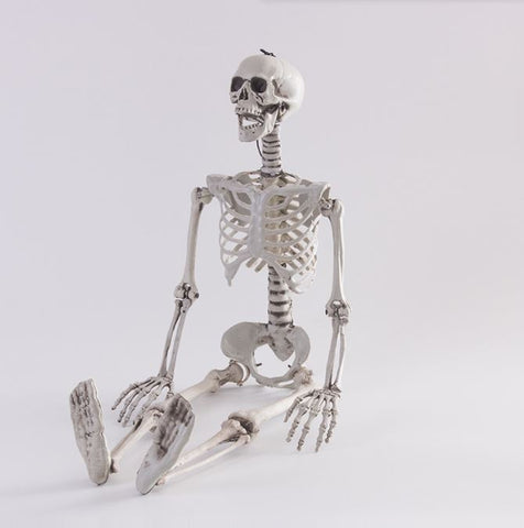 Halloween simulation skeleton human skeleton model skeleton props