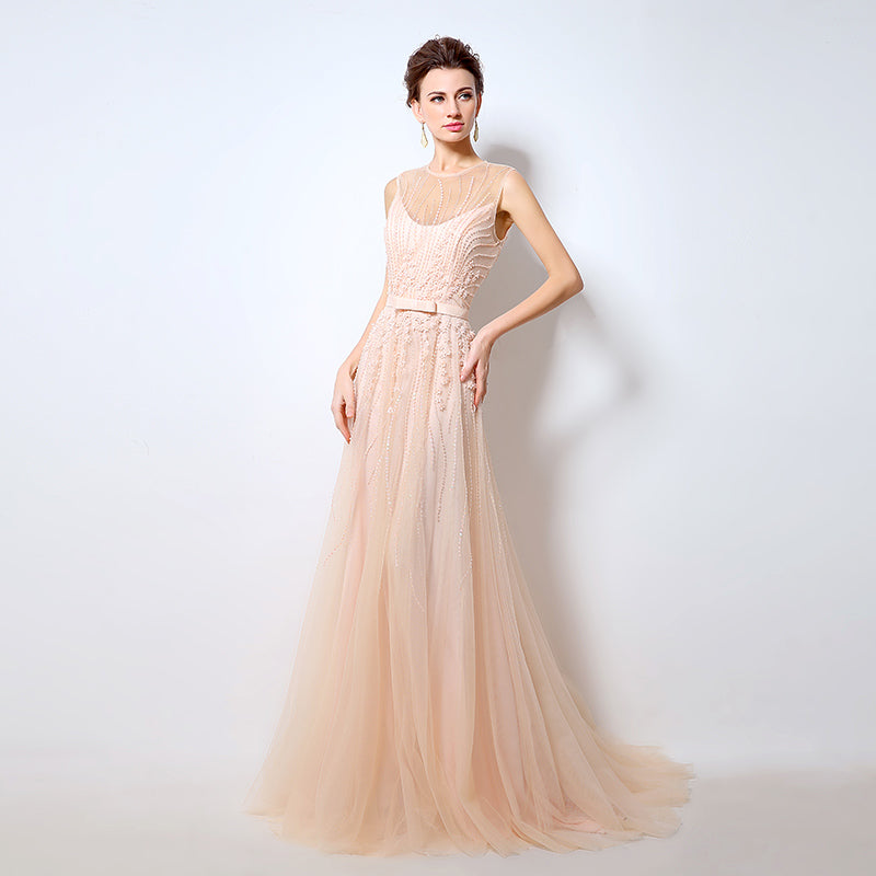 Elegant Sleeveless Illusion - Neckline Tulle Evening Gown with Delicate Embroidered Detailing Prom Dress,LX065