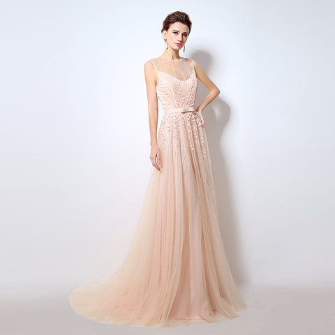 Elegant Sleeveless Illusion - Neckline Tulle Evening Gown with Delicate Embroidered Detailing Prom Dress,LX065