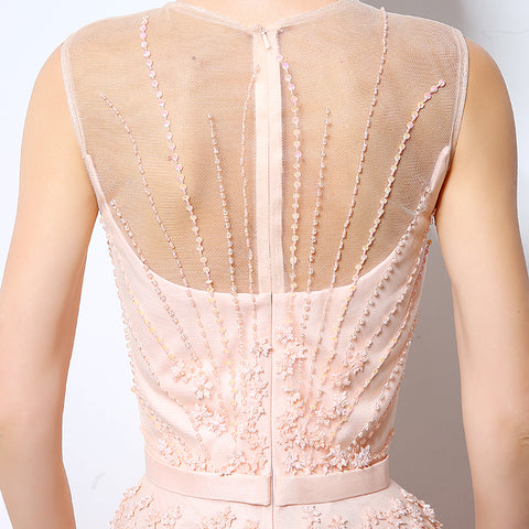 Elegant Sleeveless Illusion - Neckline Tulle Evening Gown with Delicate Embroidered Detailing Prom Dress,LX065